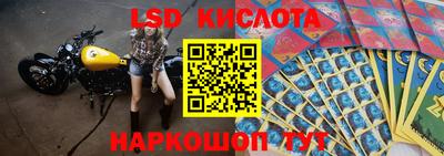 дживик Донской