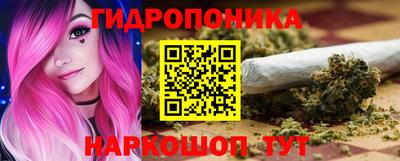 сатива Гагарин