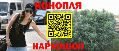 индика Гатчина