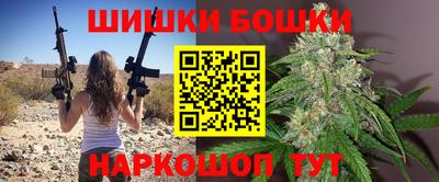 индика Гатчина