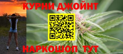 индика Гатчина