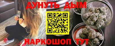 индика Гатчина