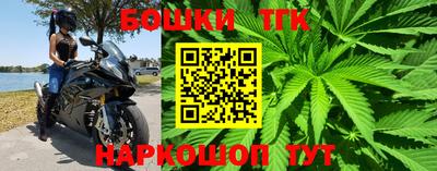 индика Гатчина