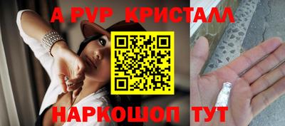 индика Гатчина