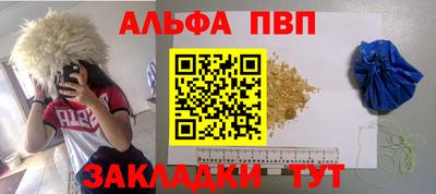 индика Гатчина