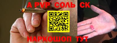 индика Гатчина
