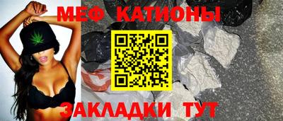 индика Гатчина