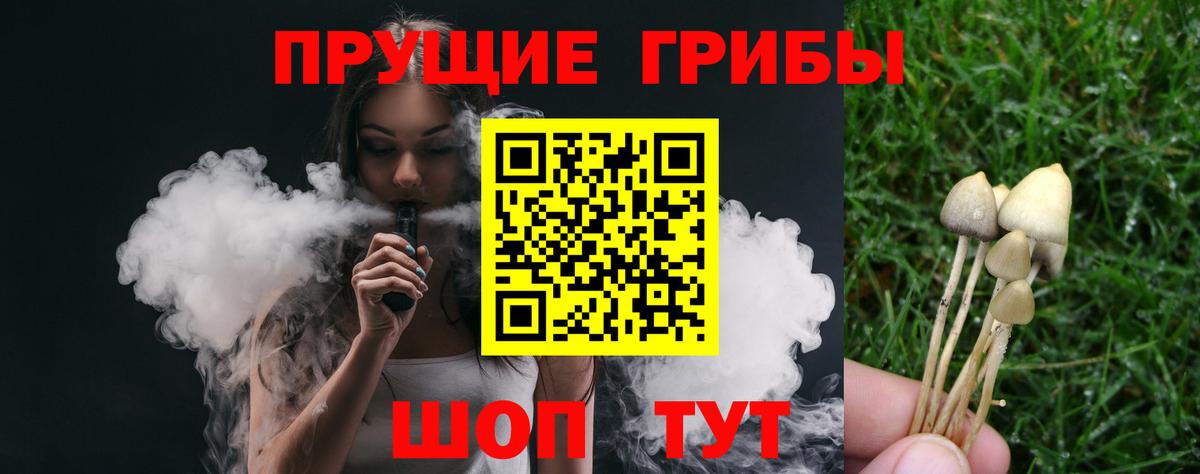 Галлюциногенные грибы прущие грибы Пугачёв