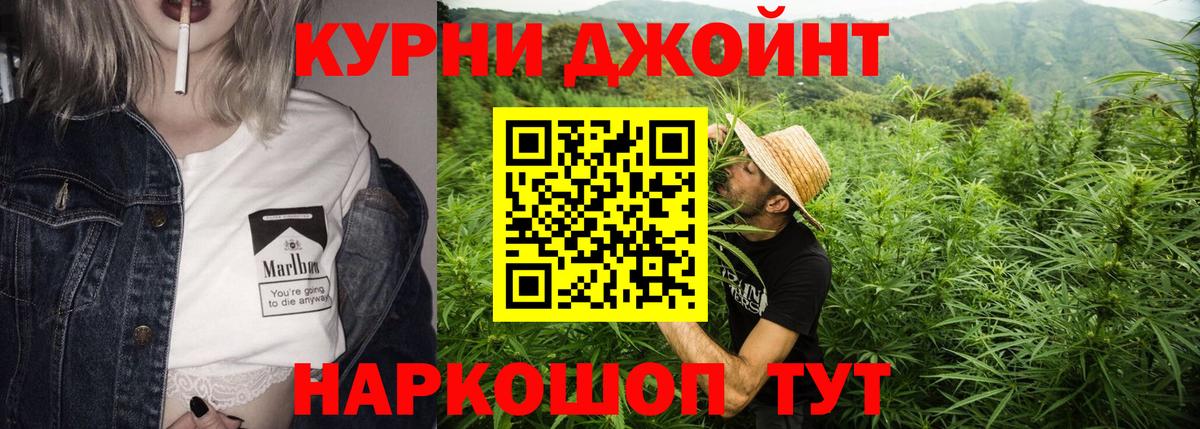 Псилоцибиновые грибы Пугачёв